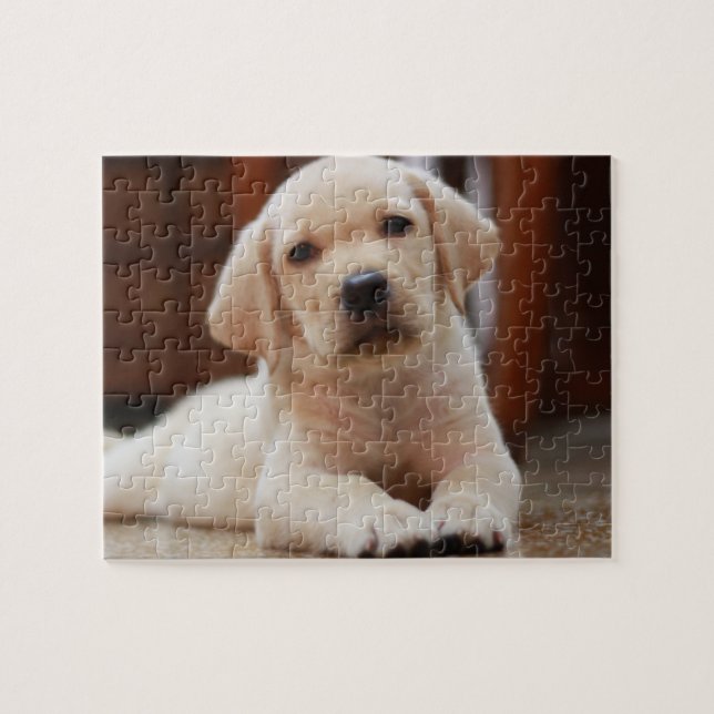Baby Yellow Labrador Puppy Dog laying on Belly Jigsaw Puzzle (Horizontal)
