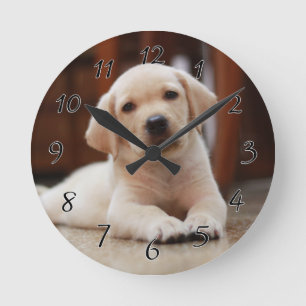 Baby Yellow Labrador Puppy Dog laying on Belly Round Clock