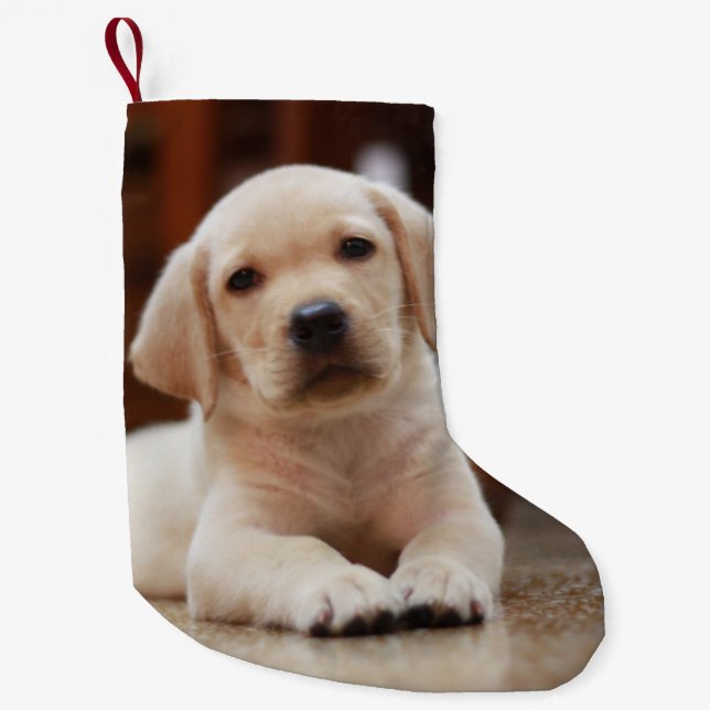 Baby Yellow Labrador Puppy Dog laying on Belly Small Christmas Stocking (Front)