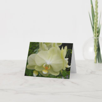 Baby Yellow Orchid Note Card