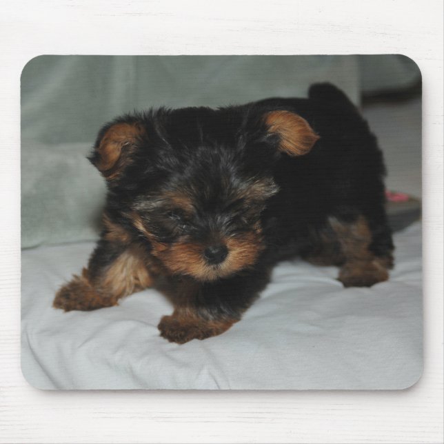 baby yorkie mouse pad (Front)