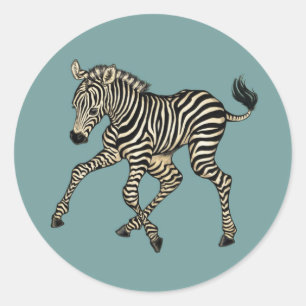 Baby Zebra Classic Round Sticker