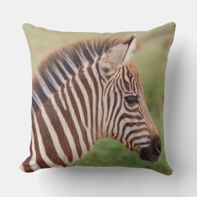 Baby zebra head, Tanzania Cushion (Front)