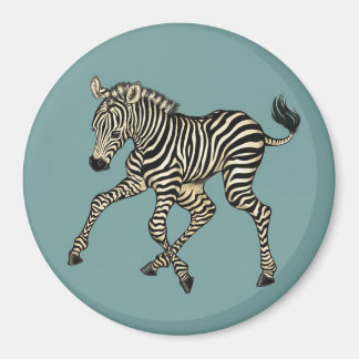 Baby Zebra Magnet