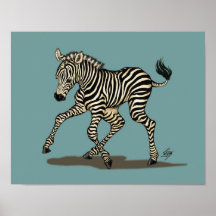 Baby zebra on blue background
