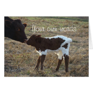 BabyBliss-any occasion-customise