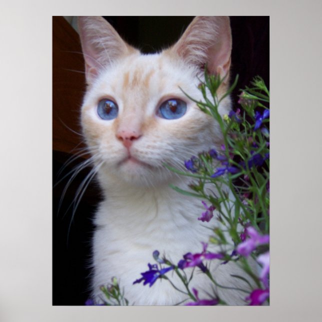 BabyBlues Poster (Front)