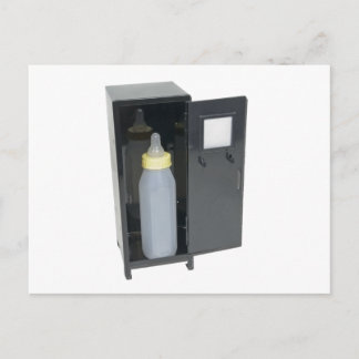 BabyBottleInLocker122111 Postcard