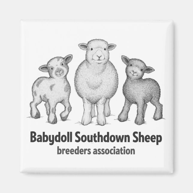 Babydoll Sheep products Magnet (Front)