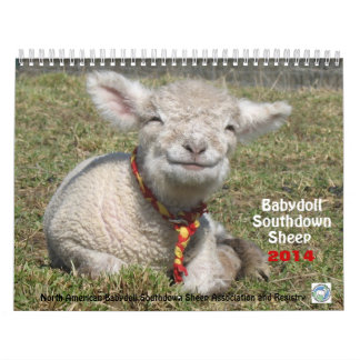 Babydoll Southdown Sheep 2014 NABSSAR calendar