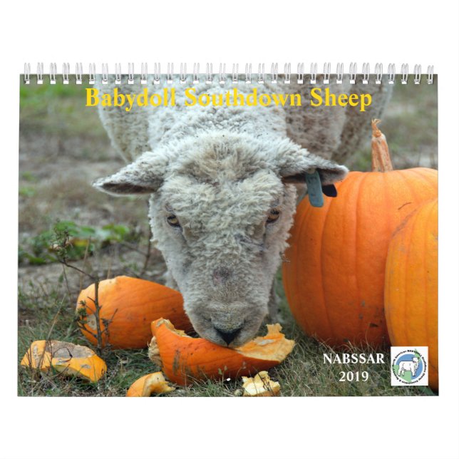 Babydoll Southdown Sheep 2019 NABSSAR Calendar (Cover)