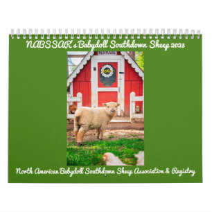 Babydoll Southdown Sheep 2023 NABSSAR Calendar