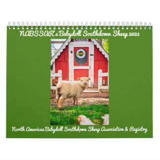 Babydoll Southdown Sheep 2023 NABSSAR Calendar