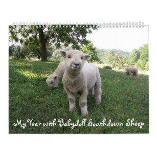 Babydoll Southdown Sheep Calendar