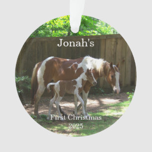 Baby's 1st Christmas Horse Acrylic Ornament