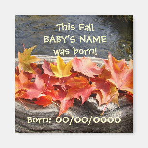 Baby's Birth Date magnet Autumn Leaves Baby Born