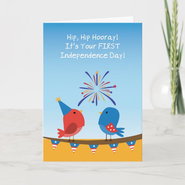 Babys First 4th of July Birds Watching Fireworks Card (Front)