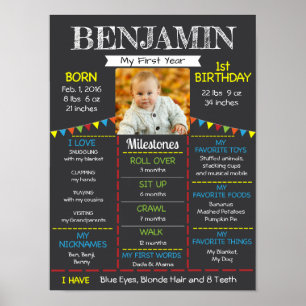 Baby's First Birthday Photo Poster