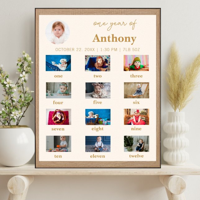 Baby's First Year 1st Birthday Photo Milestone Poster (Creator Uploaded)