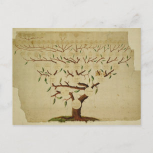 Bach Family Tree, c.1750-1770 Postcard
