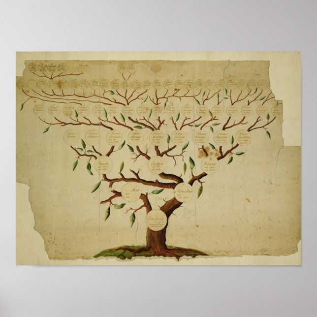 Bach Family Tree, c.1750-1770 Poster (Front)
