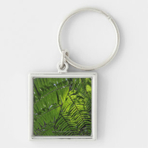 Bach Ma National Park Key Ring