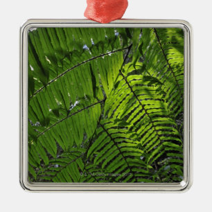 Bach Ma National Park Metal Tree Decoration
