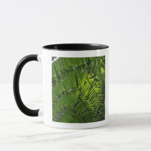 Bach Ma National Park Mug