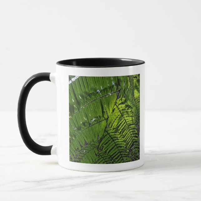 Bach Ma National Park Mug (Left)