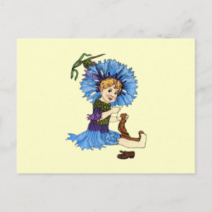Bachelor Button Postcard