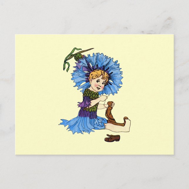 Bachelor Button Postcard (Front)