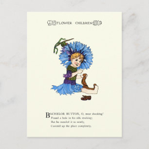 Bachelor Button Postcard