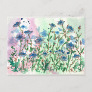 Bachelor Button Wildflower Meadow Postcard
