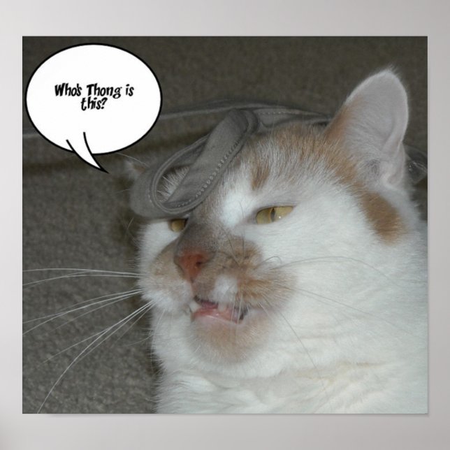 Bachelor Party Who's Thong is This Poster (Front)