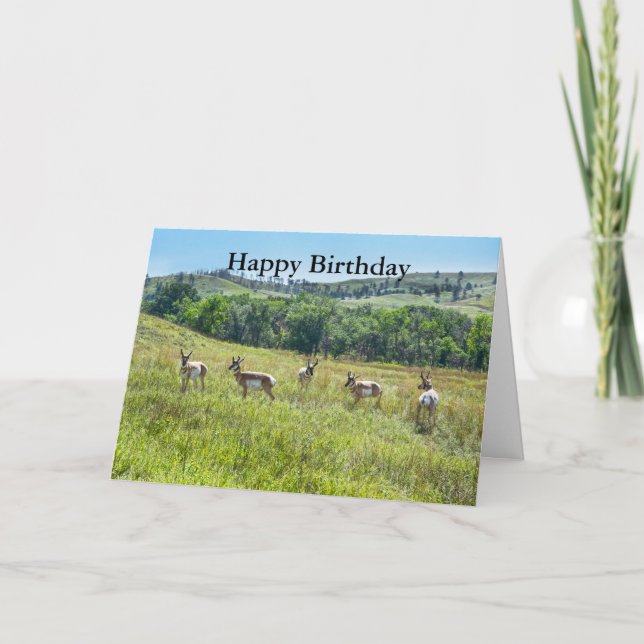 Bachelor Pronghorn Antelopes Happy Birthday Card (Front)