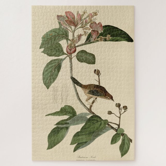 Bachman's Finch (Sparrow) Audubon Birds of America Jigsaw Puzzle (Vertical)