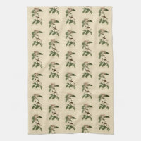 Bachman's Finch (Sparrow) Audubon Birds of America