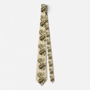 Bachman's Warbler, from Audubon's Birds of America Tie