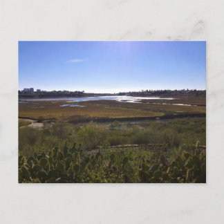Back Bay, Newport Beach, California Postcard