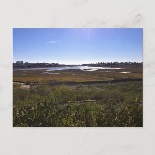 Back Bay, Newport Beach, California Postcard (Front)