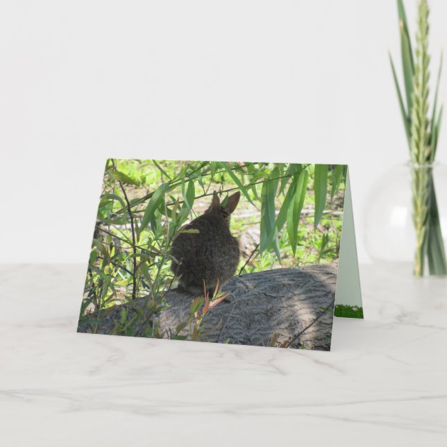 Back of a Marsh Rabbit Folded Card (Front)