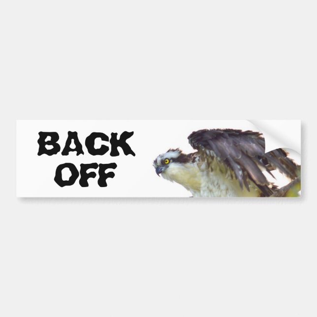 Back Off Frazzled Hawk Bumper Sticker (Front)
