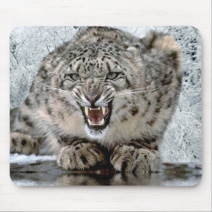 Back Off! Mouse Pad