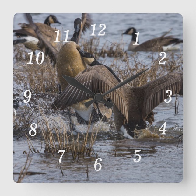 Back Off Wall Clock (Front)