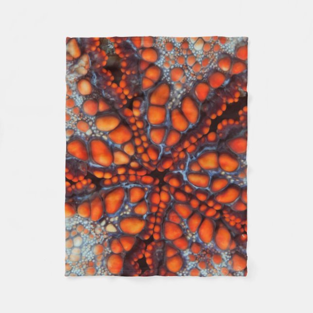 Back Side Of Sea Star |Cambodia Fleece Blanket (Front)