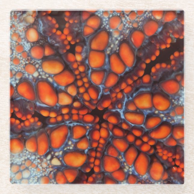 Back Side Of Sea Star |Cambodia Glass Coaster (Front)