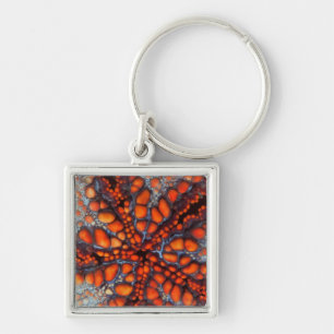 Back Side Of Sea Star Cambodia Key Ring