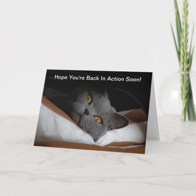 Back Surgery Get Well Soon Grey Cat Card (Front)