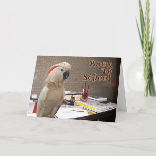 Back To School Card