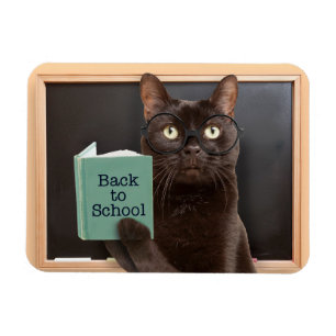Back to School Cat Reading Book Humour  Magnet